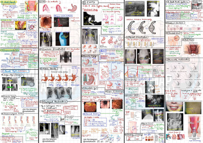 Surgery 20th Notebook