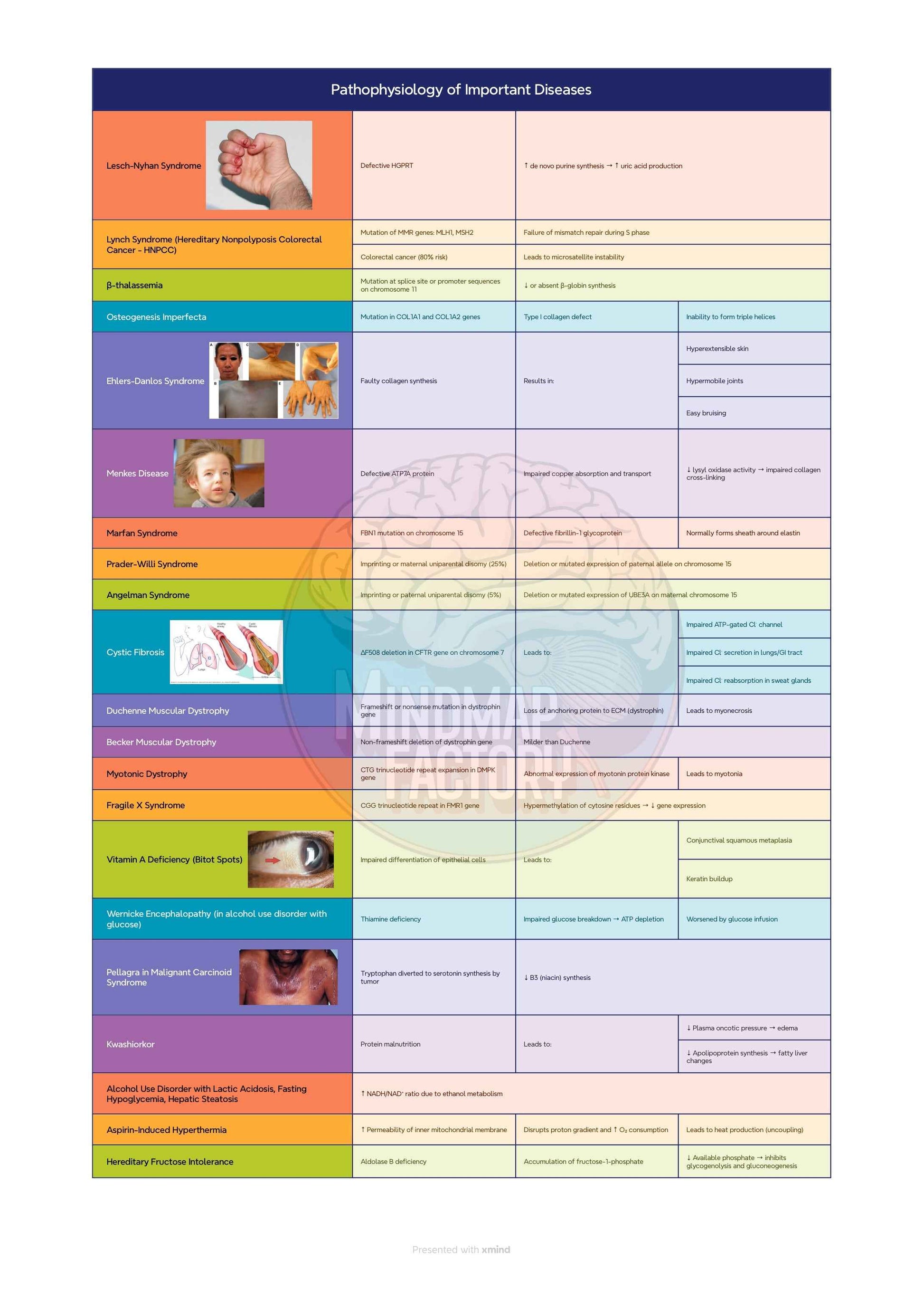 High Yield Pathology Review