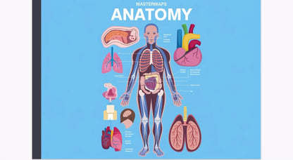 Mastermaps Anatomy Concepts